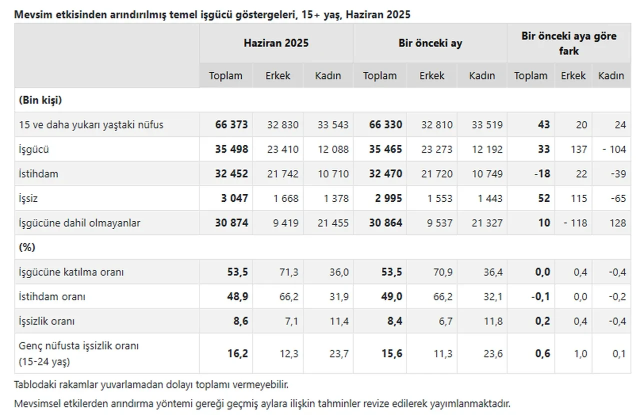 TÜİK işsizlik rakamlarını açıkladı