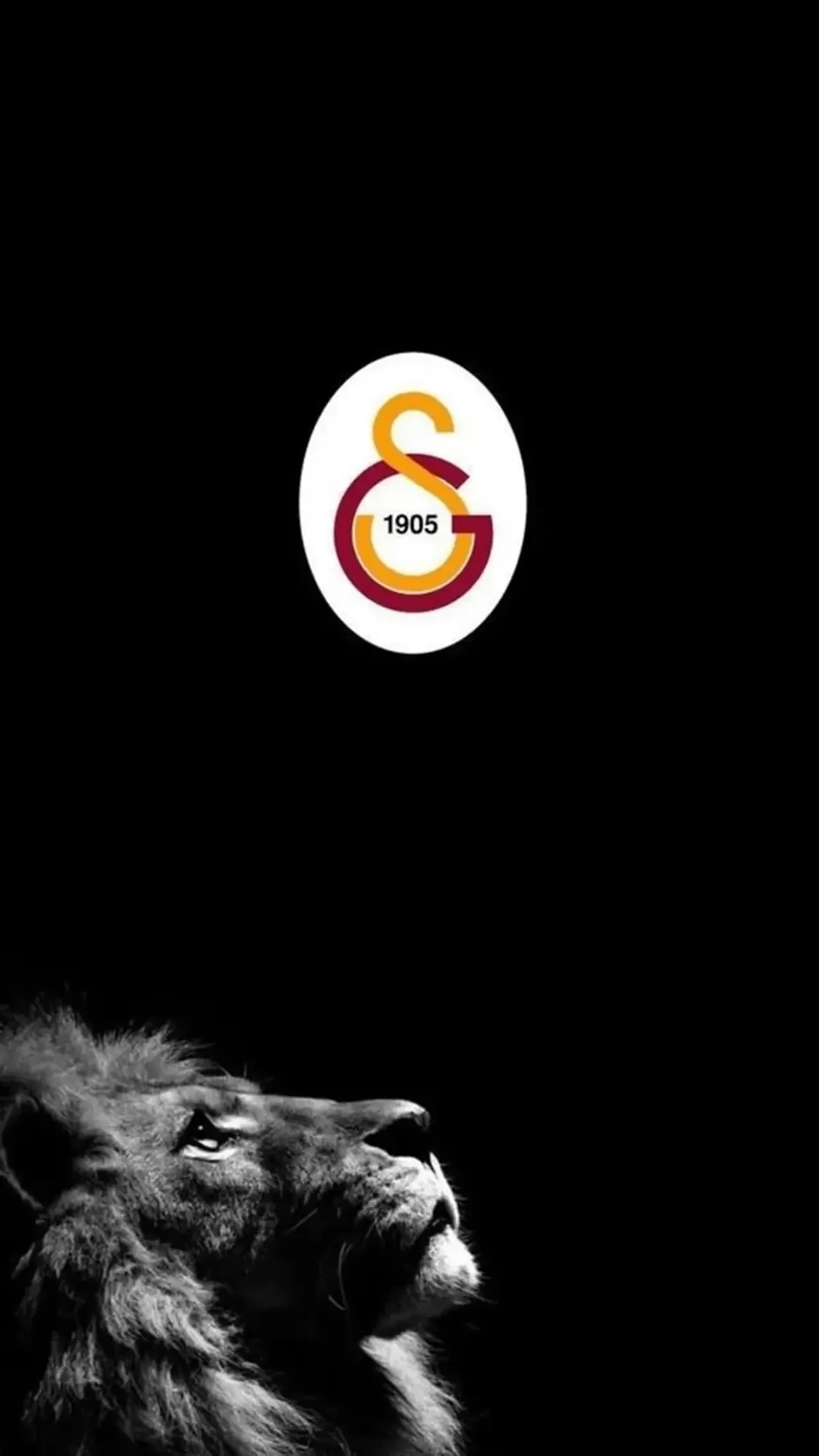 Victor Osimhen gece yarısı paylaştı! Galatasaray taraftarının uykularını kaçırdı 