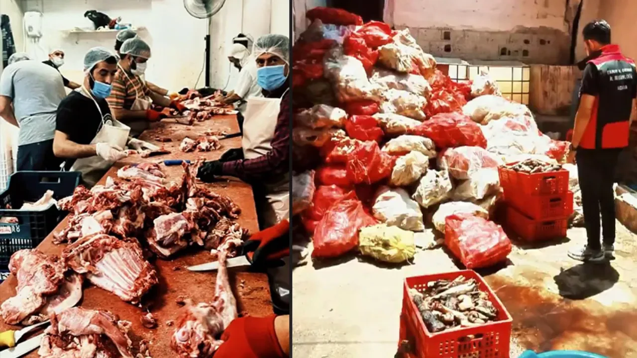 Adana'da mide bulandıran görüntüler! Binlerce kilo ele geçirildi