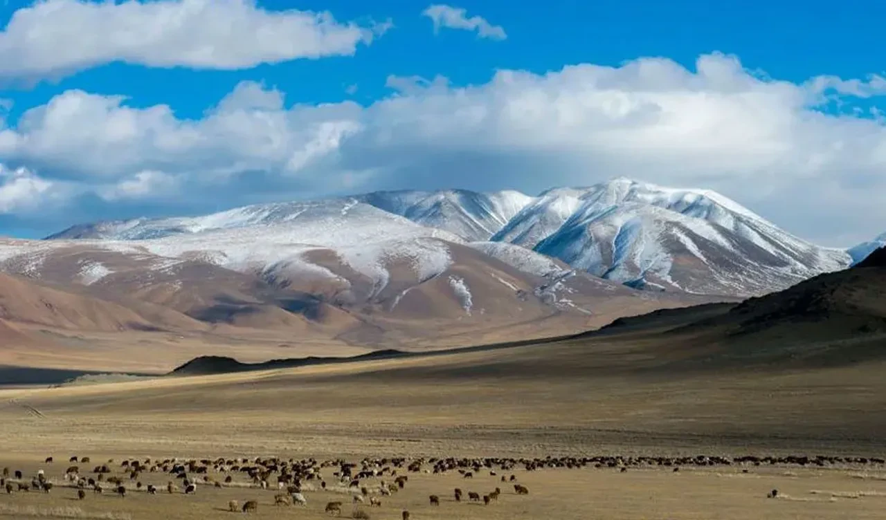 Araştırmacılar 2 bin 500 yıllık mumyanın vücudunda buldu! Bugünün şartlarında yapılması çok zor