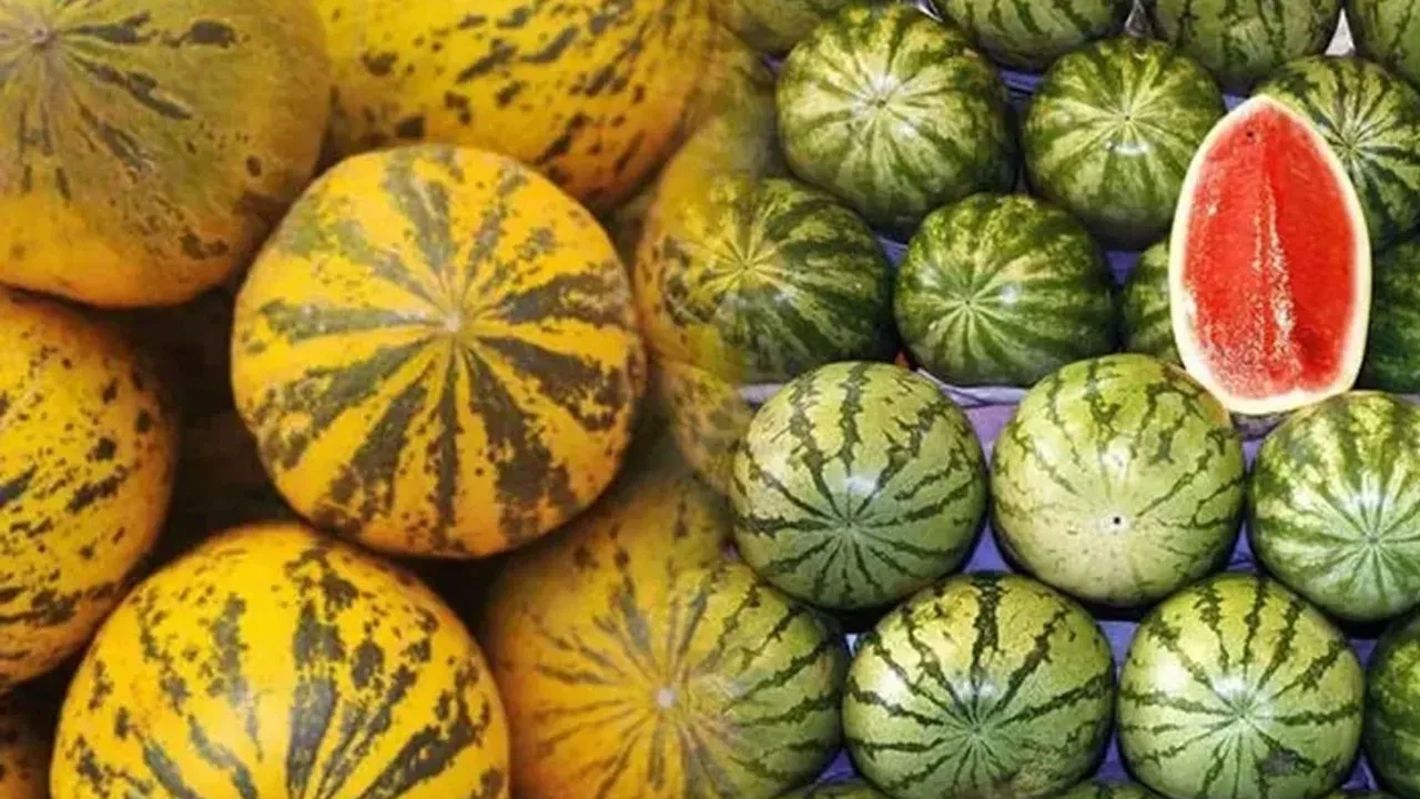 Klimanın önünde oturup sağlığınızla oynamayın! Serinlemek için kilit formül: Evde hazırlanabilir