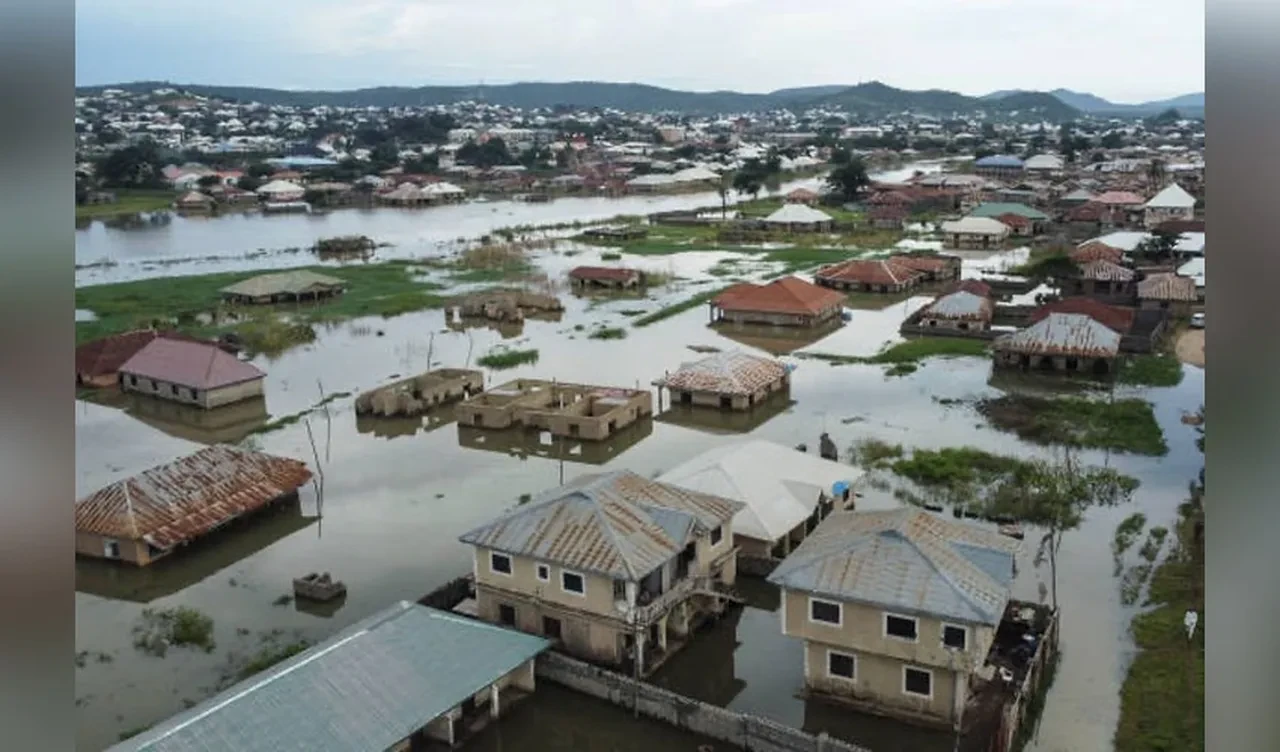 Nijerya felaketi yaşıyor! Sellerde bilanço ağırlaşıyor