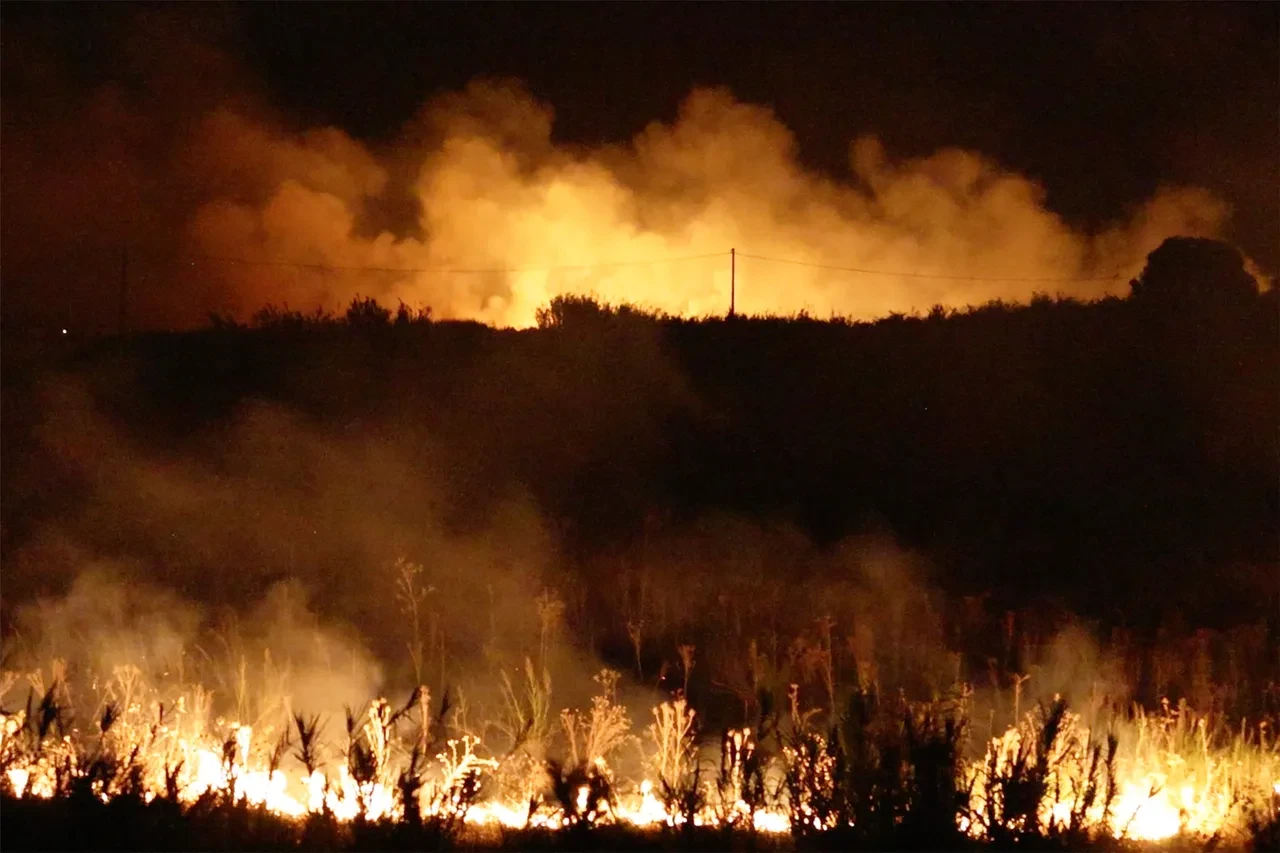 Orman yangınında tehlike geçmedi! Bakan Yumaklı riskli haftalar için tarih verdi