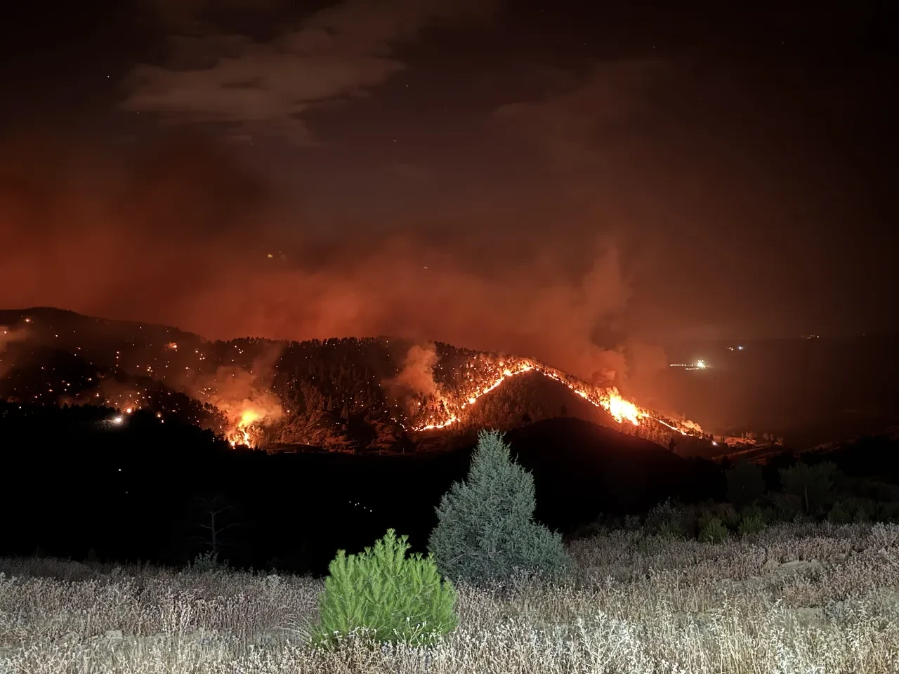 Orman yangınında tehlike geçmedi! Bakan Yumaklı riskli haftalar için tarih verdi