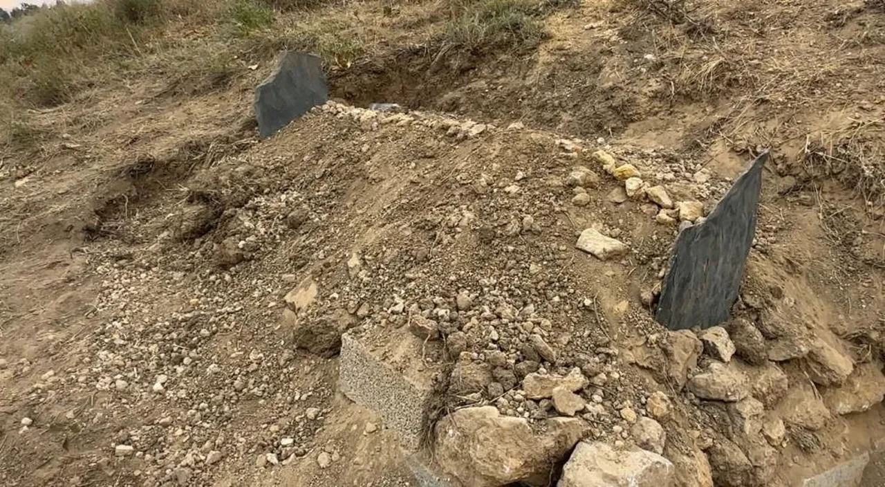 Sadık dosttan duygulandıran vefa! Ölen sahibinin mezarı başından bir an olsun ayrılmıyor