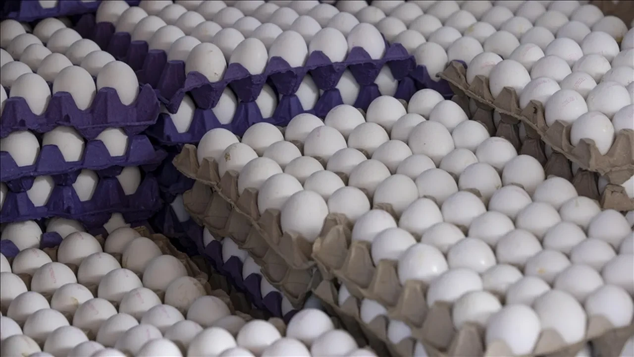 Uygulama sona erdi, fiyatlar uçtu: Kararın ardından raflarda etiketler anında değişti