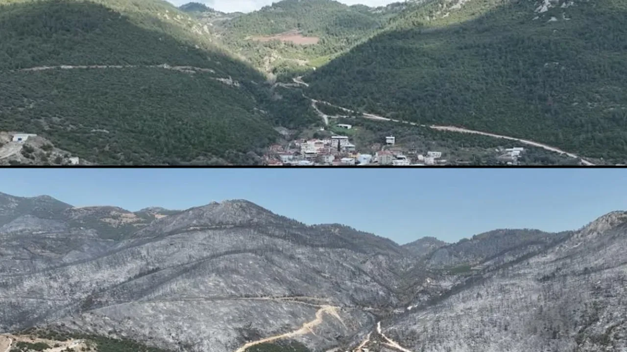 Yeşil Bursa böyle karardı! Küle dönen ormanları görenlerin içini derin bir hüzün kapladı