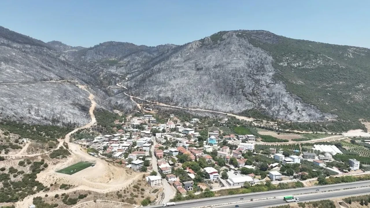 Yeşil Bursa böyle karardı! Küle dönen ormanları görenlerin içini derin bir hüzün kapladı