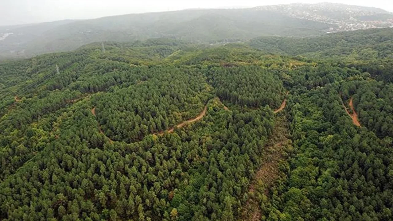 Adıyaman'da ormanlara giriş yasaklandı