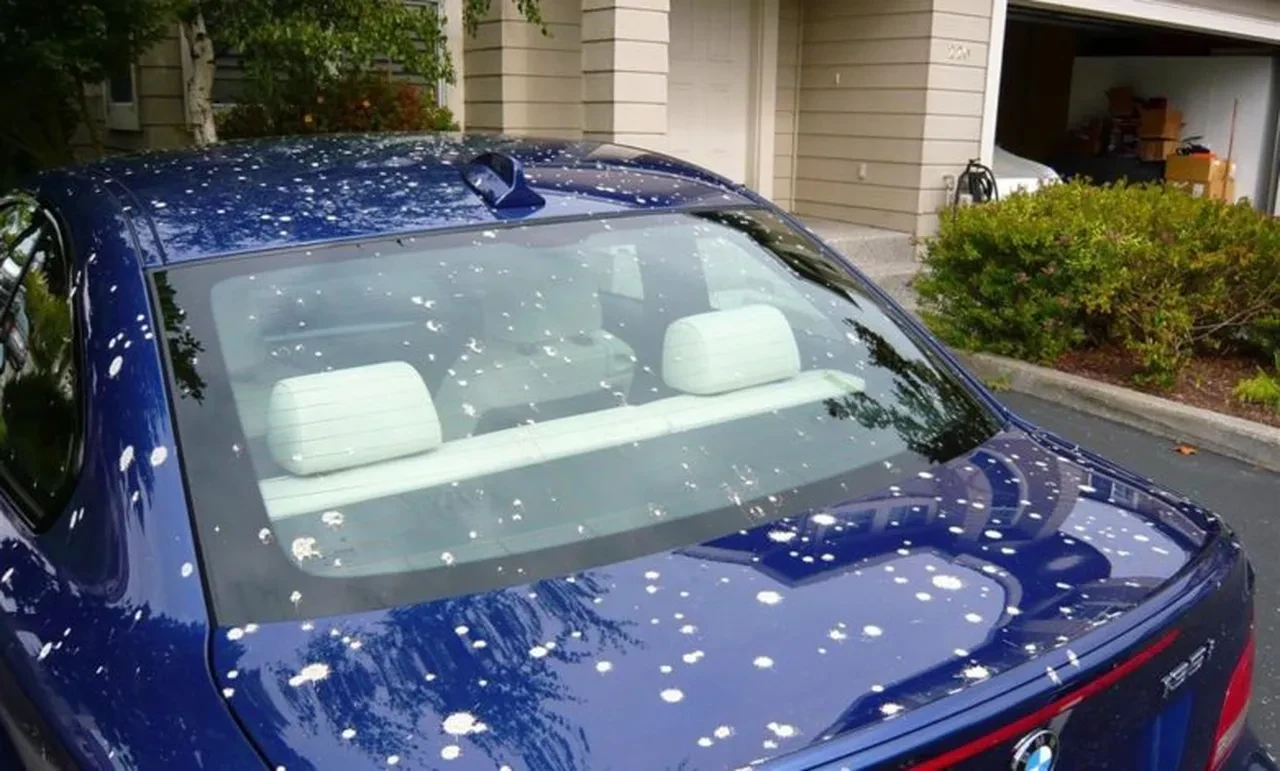 Aman dikkat! Aracınıza kuş pislediyse bunu sakın yapmayın…