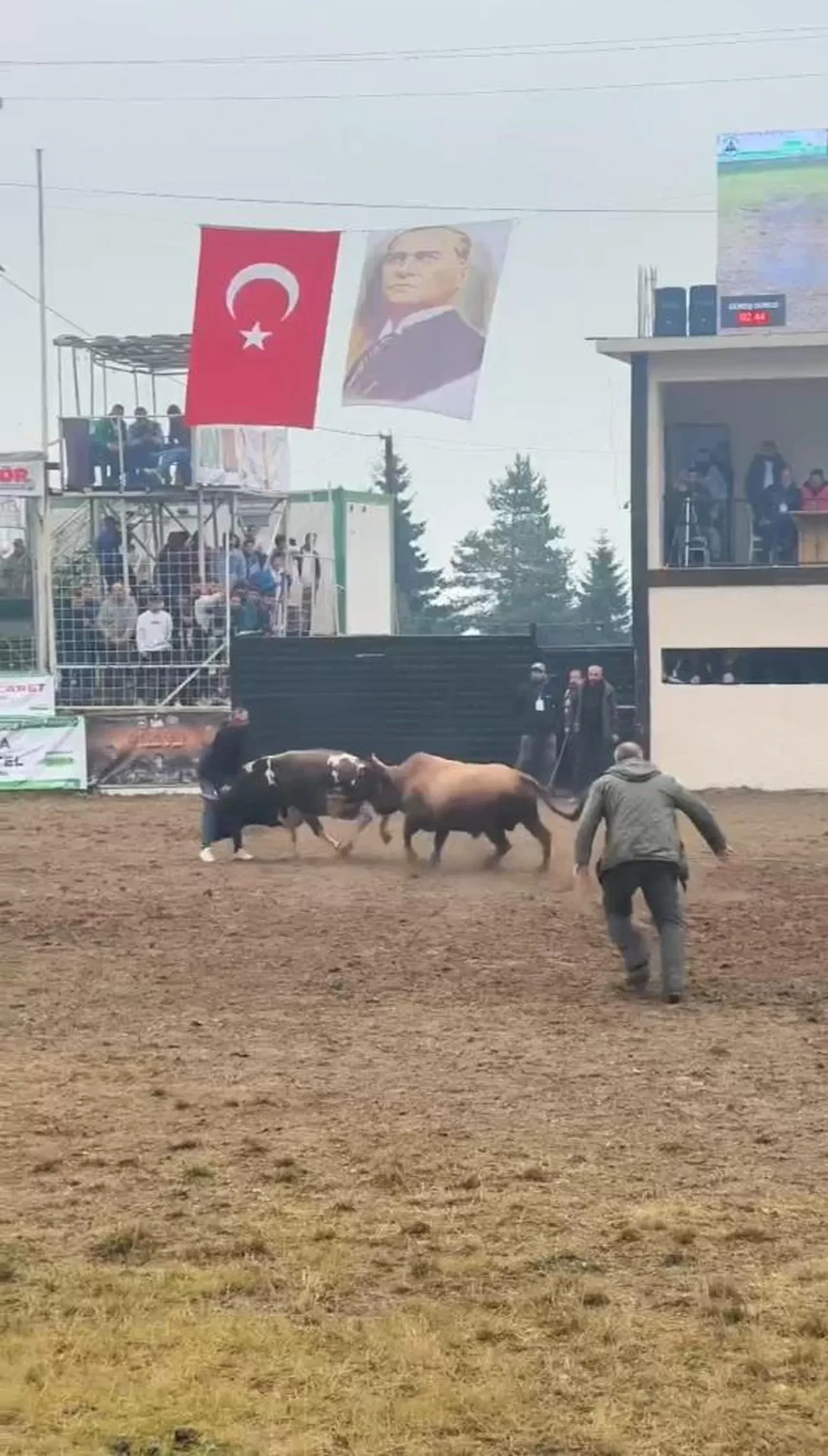 Artvin'de nefes kesen anlar: İzleyicinin yüreğini ağzına getirdi!