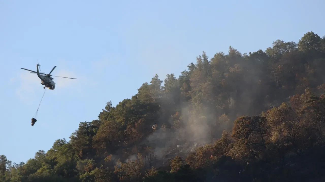 Bir orman yangını daha! Fethiye