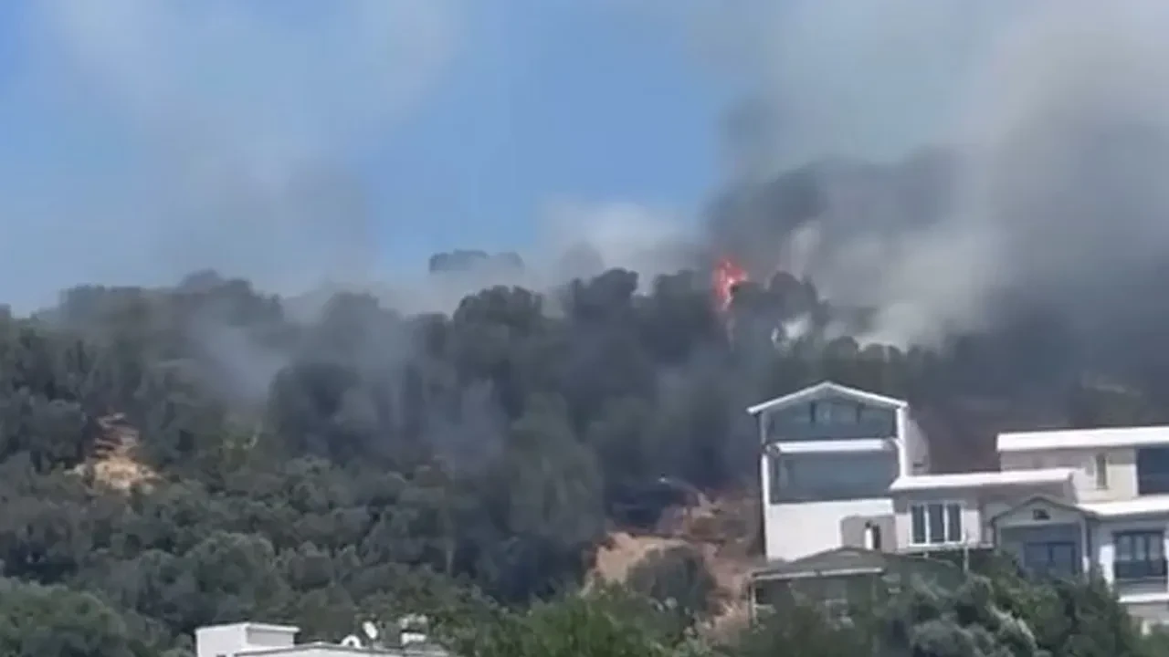 Bursa'da orman yangını! Alevler sahilden görüldü