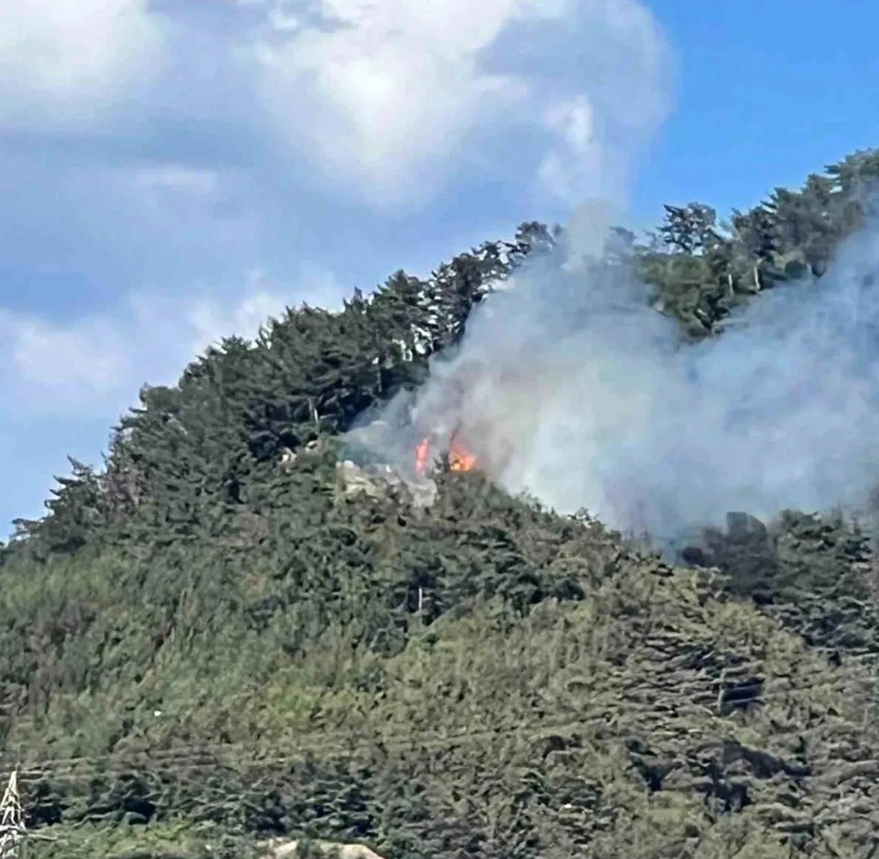 Hatay'da yangın söndürüldü mü? SON DAKİKA! Dörtyol'da orman yangını çıktı