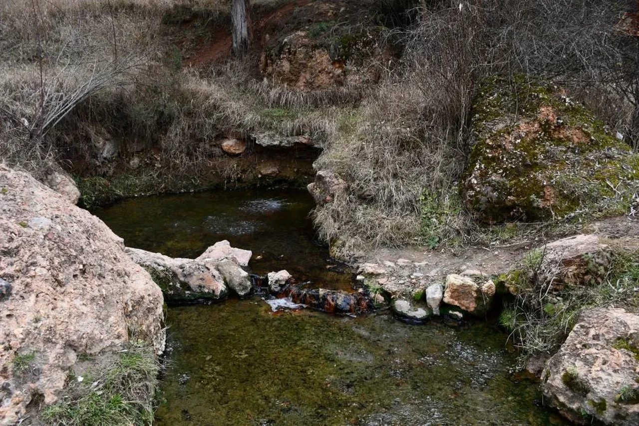 Her yıl yüzlerce insan bu suyla yıkanarak şifa arıyor