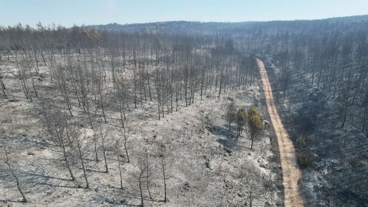 İzmir uçuşlar iptal mi? Adnan Menderes Havalimanı sefer durumu