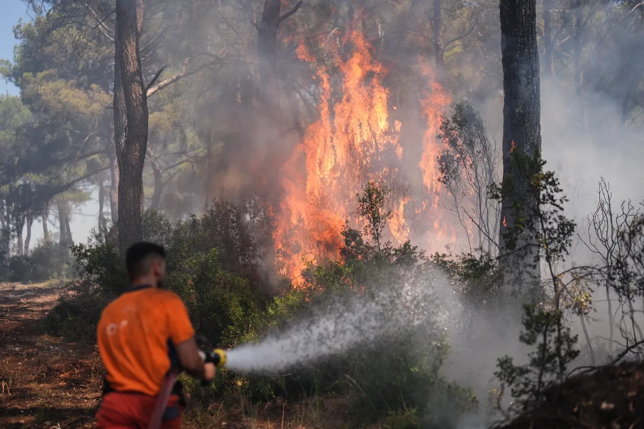 İzmir yangın neden çıktı? Buca'da yangın nedeniyle 2 kişi gözaltına alındı