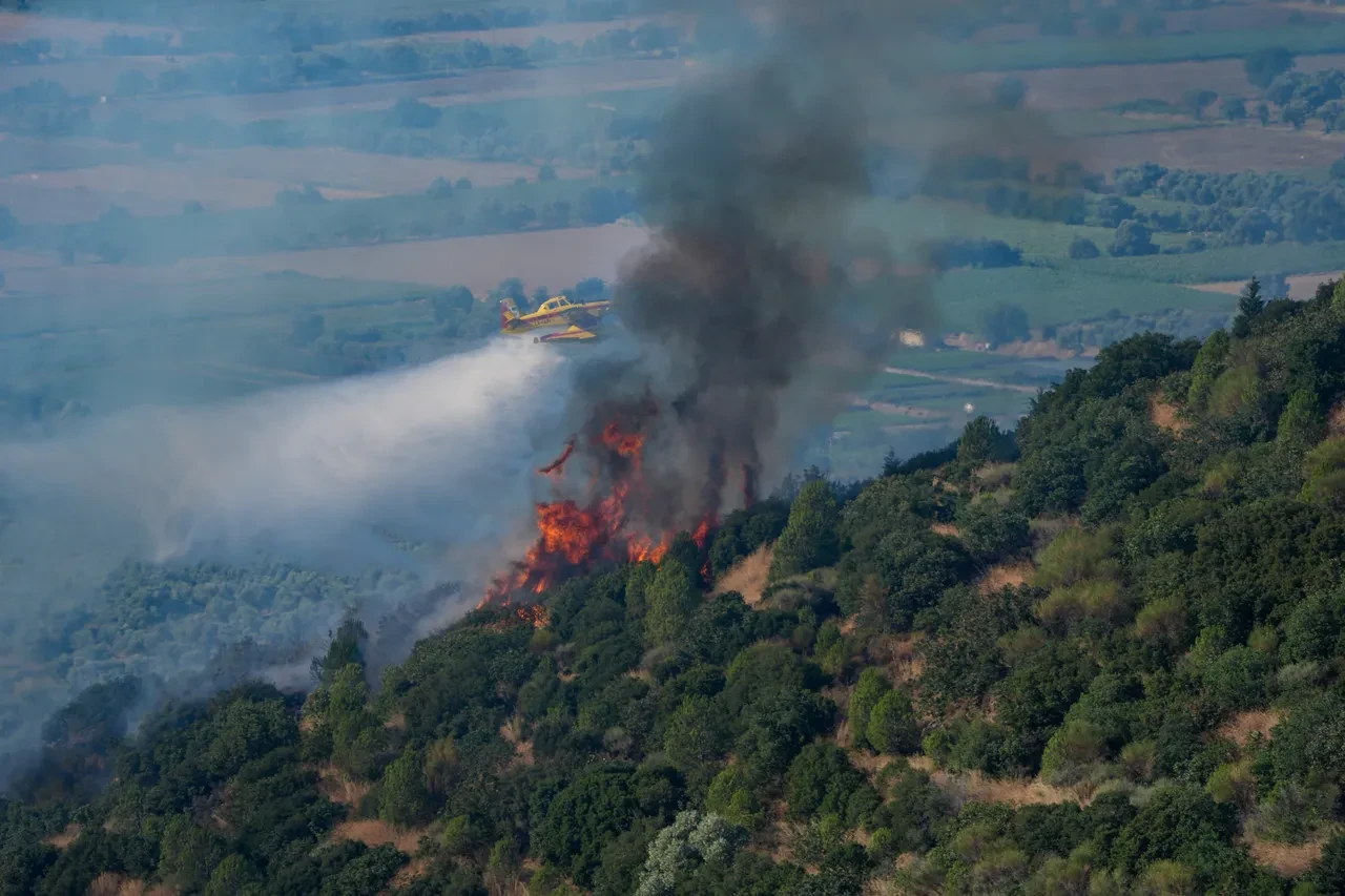 İzmir yangın neden çıktı? Buca'da yangın nedeniyle 2 kişi gözaltına alındı