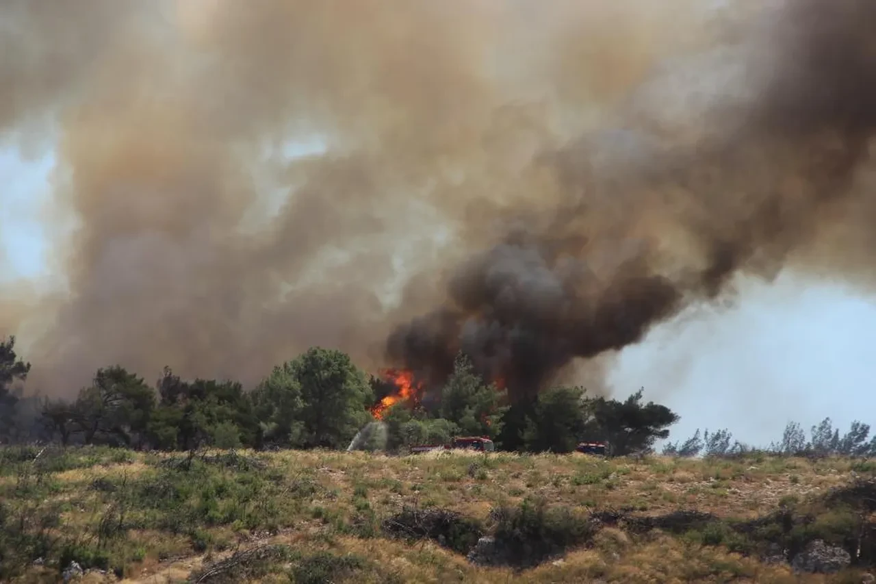 İzmir'i yakan alevlerin kaynağı belli oldu! İşte yangının çıkma anı