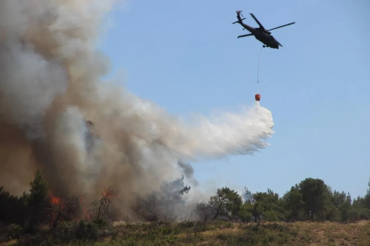İzmir'i yakan alevlerin kaynağı belli oldu! İşte yangının çıkma anı