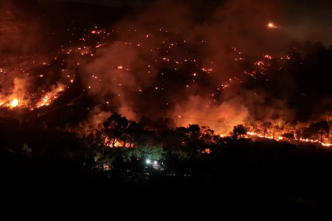Orman yangınlarında PKK sabotajı iddiası! DMM'den açıklama geldi
