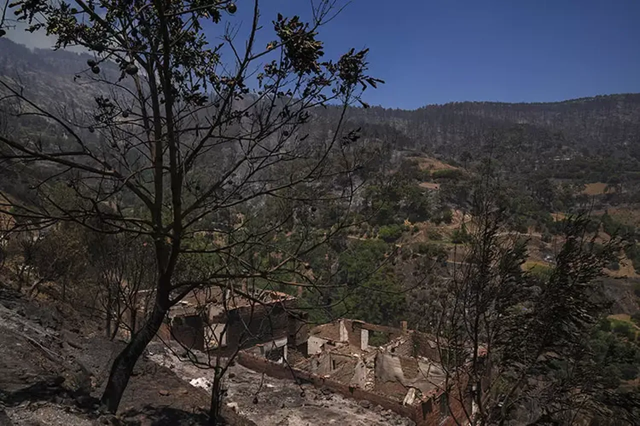 Yangının kahraman kadını! Mahallesini terk etmedi, evleri alevlerden korudu