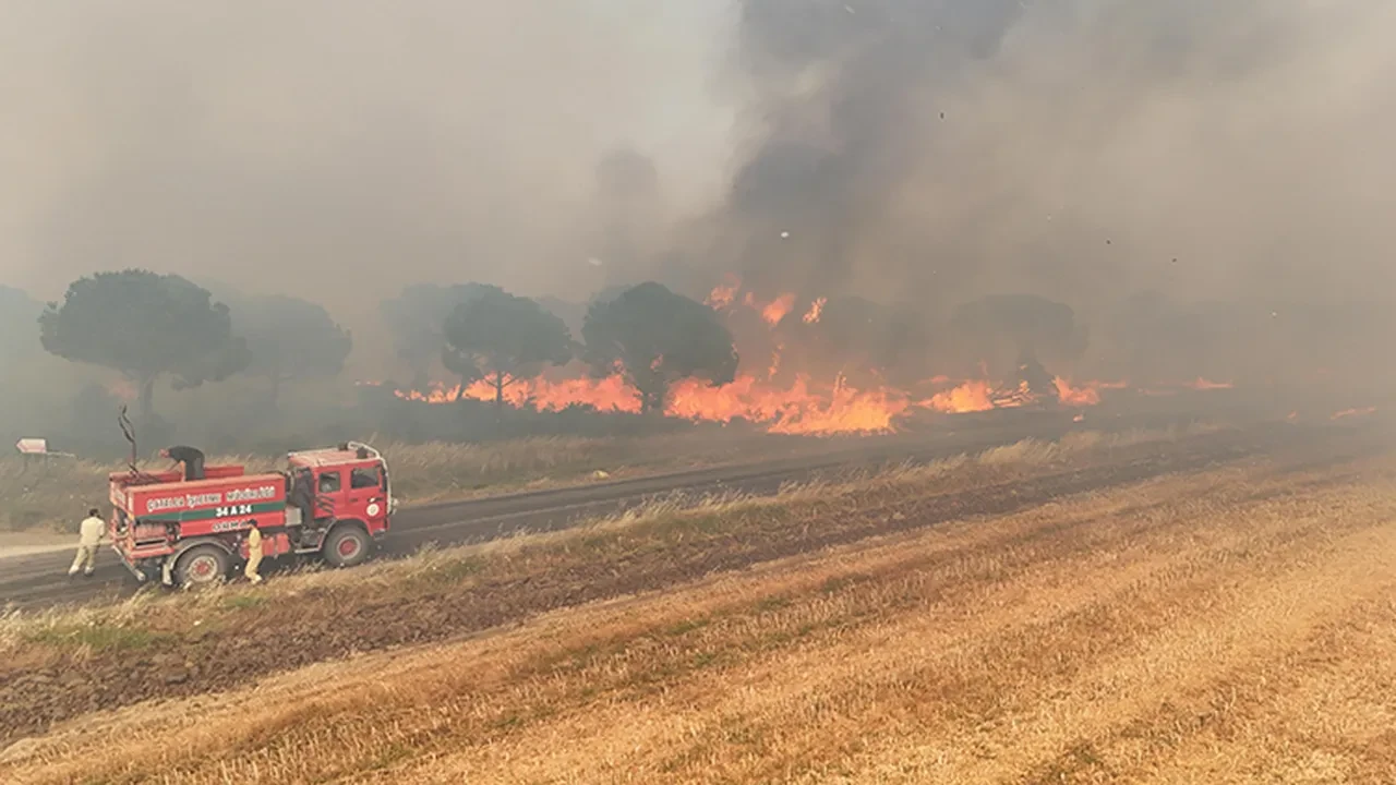 Yangınlar neden çıkıyor, kim çıkarıyor?