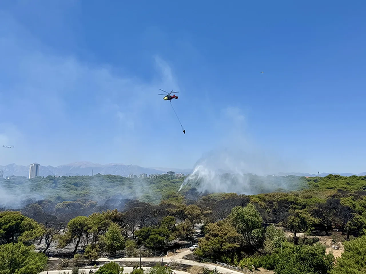 Yangınlar neden çıkıyor, kim çıkarıyor?