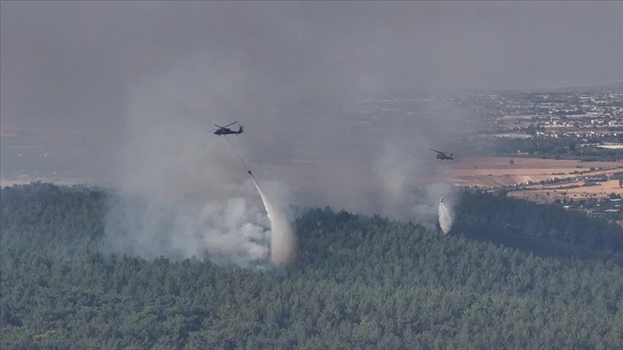 Yangınlar neden çıkıyor, kim çıkarıyor?