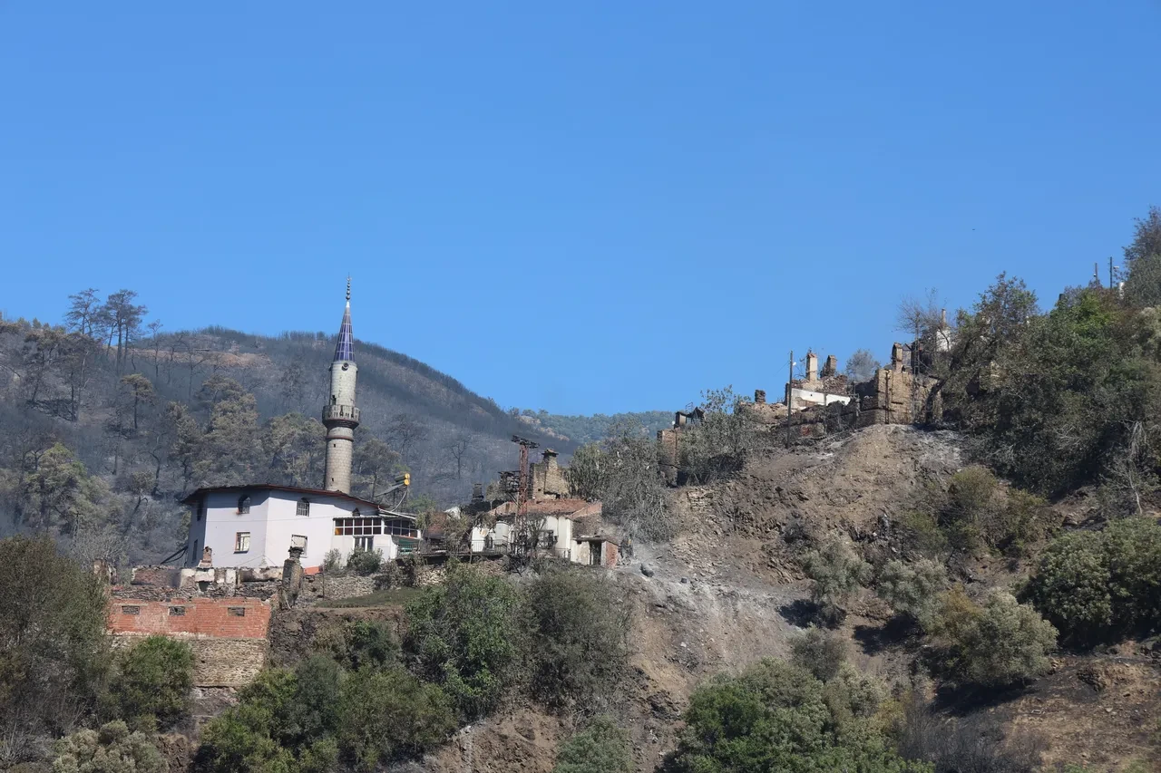 Yemyeşil mahalle harabeye döndü! Yangın bölgesinden yürek sızlatan görüntüler