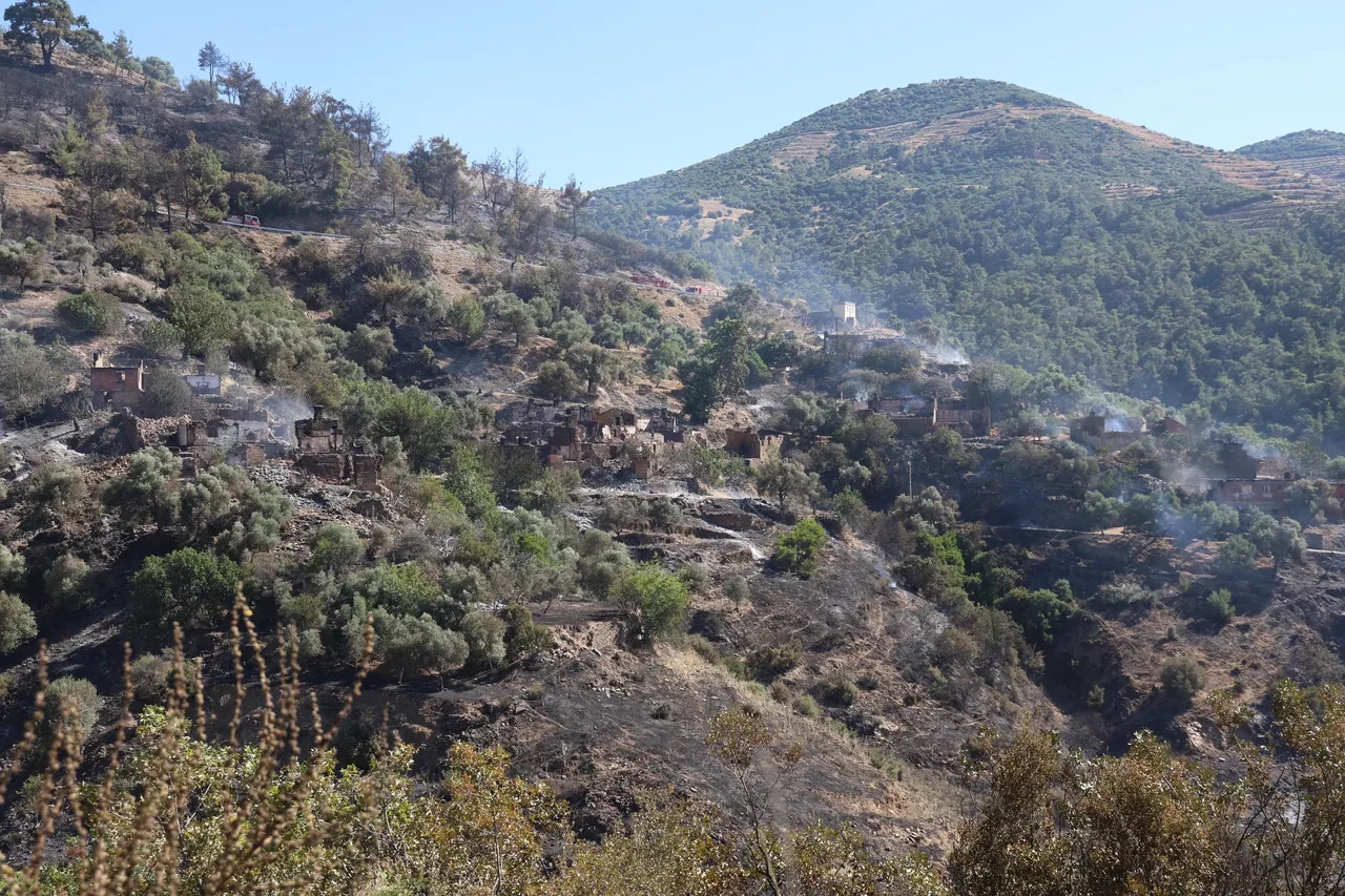 Yemyeşil mahalle harabeye döndü! Yangın bölgesinden yürek sızlatan görüntüler