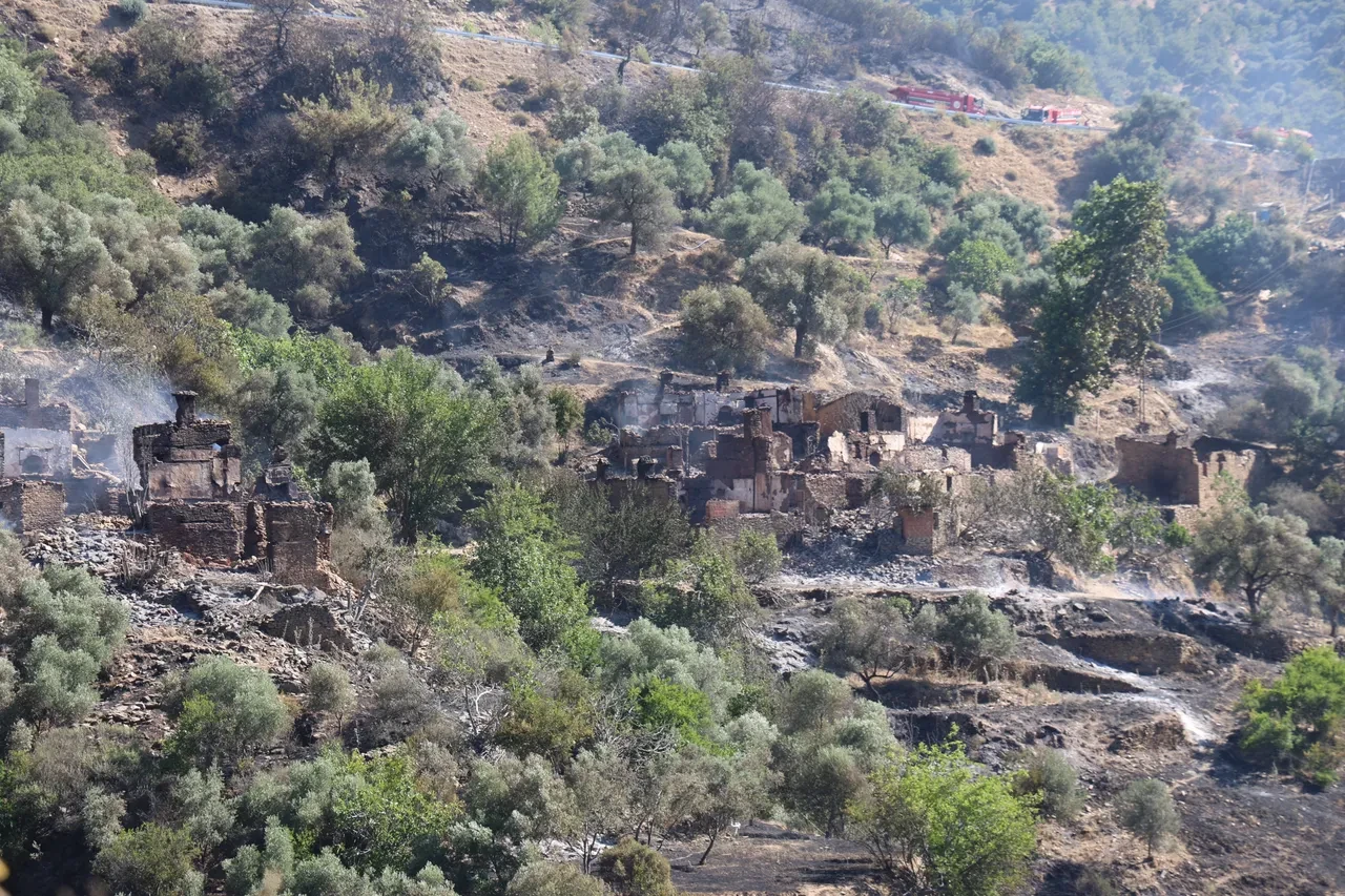 Yemyeşil mahalle harabeye döndü! Yangın bölgesinden yürek sızlatan görüntüler