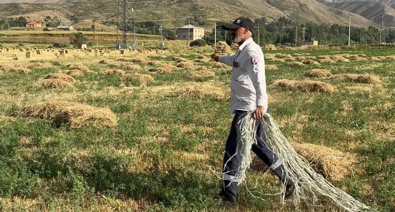 Yüksekova'da kavurucu sıcağın altında kış hazırlığı!