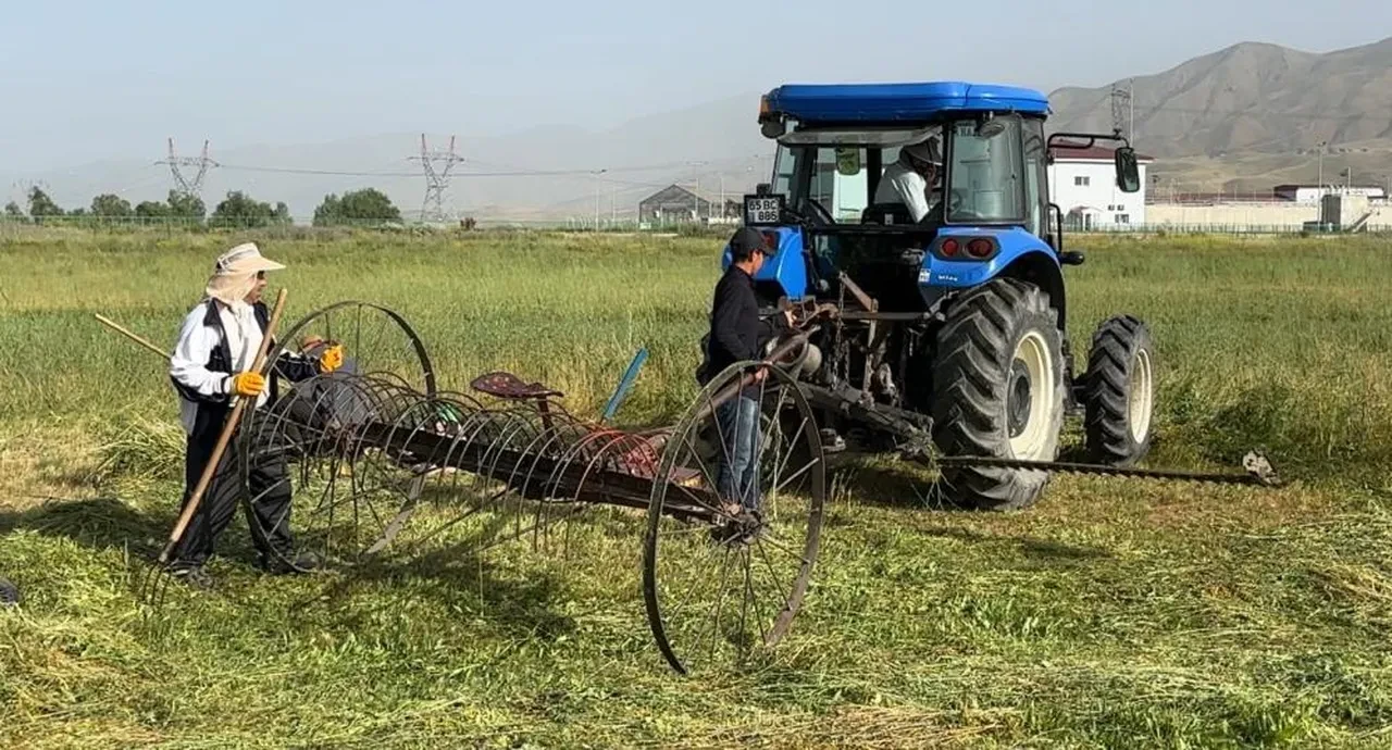 Yüksekova'da kavurucu sıcağın altında kış hazırlığı!