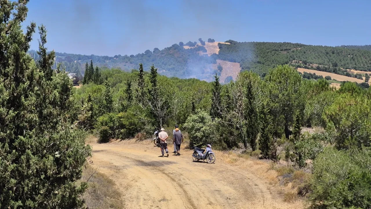 Çanakkale orman yangını söndü mü son dakika? Ekipler müdahale ediyor