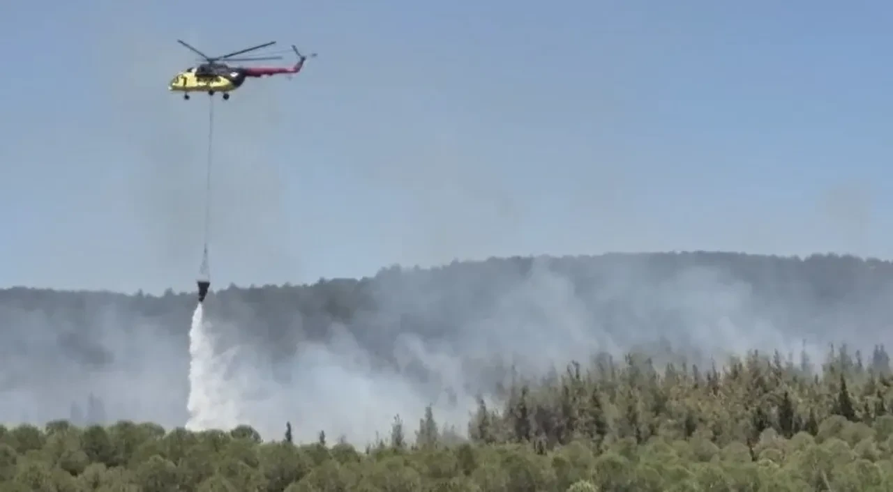 Çanakkale orman yangını söndü mü son dakika? Ekipler müdahale ediyor