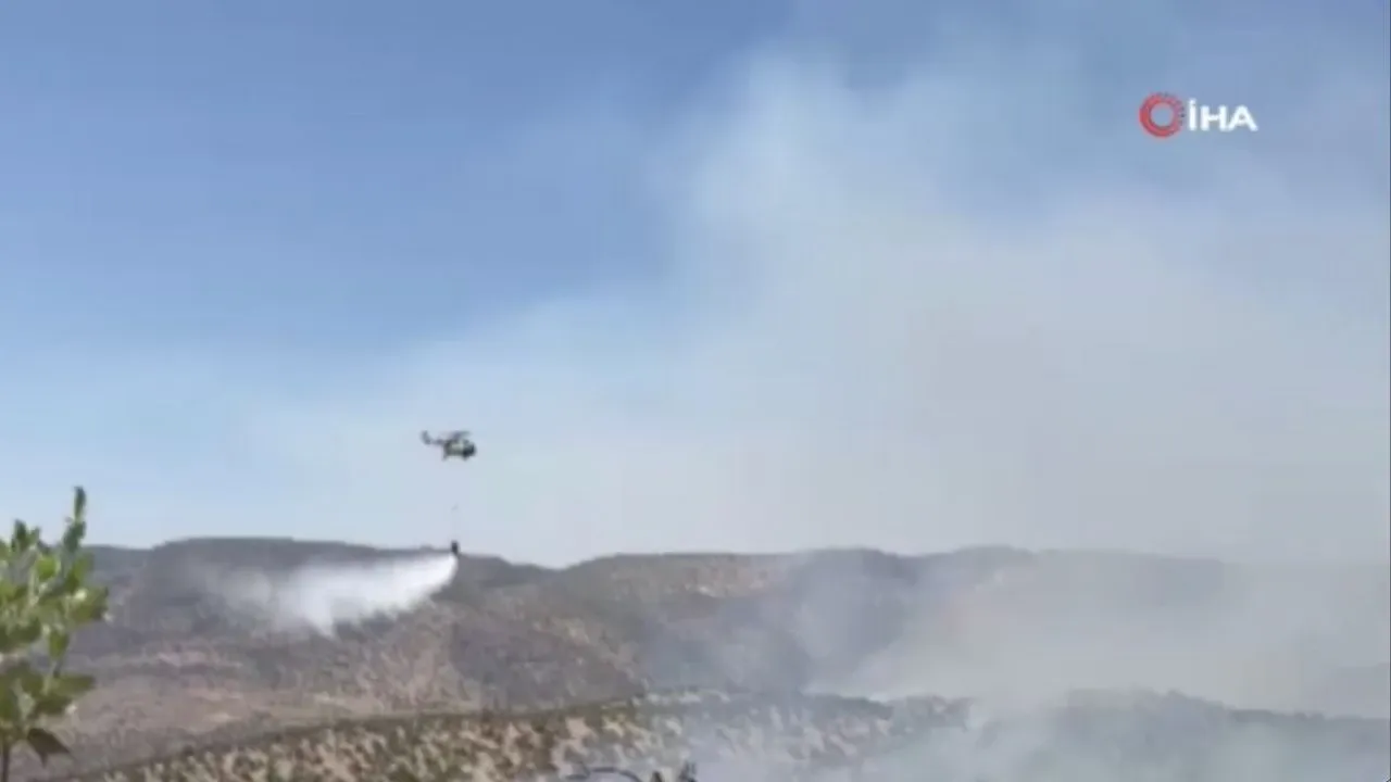 Gabar Dağı'ndaki orman yangını kontrol altına alındı