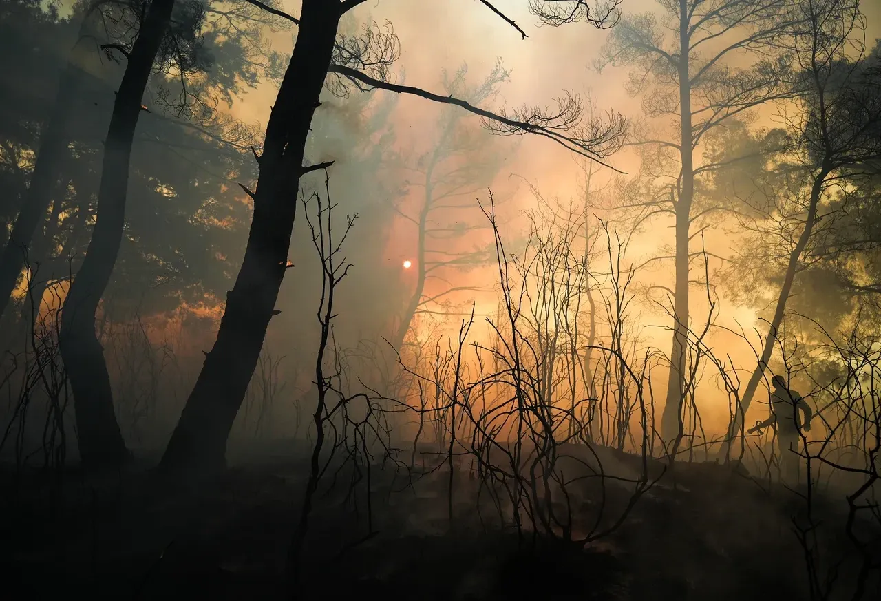 İzmir yangını söndü mü? Orman yangınında son durum
