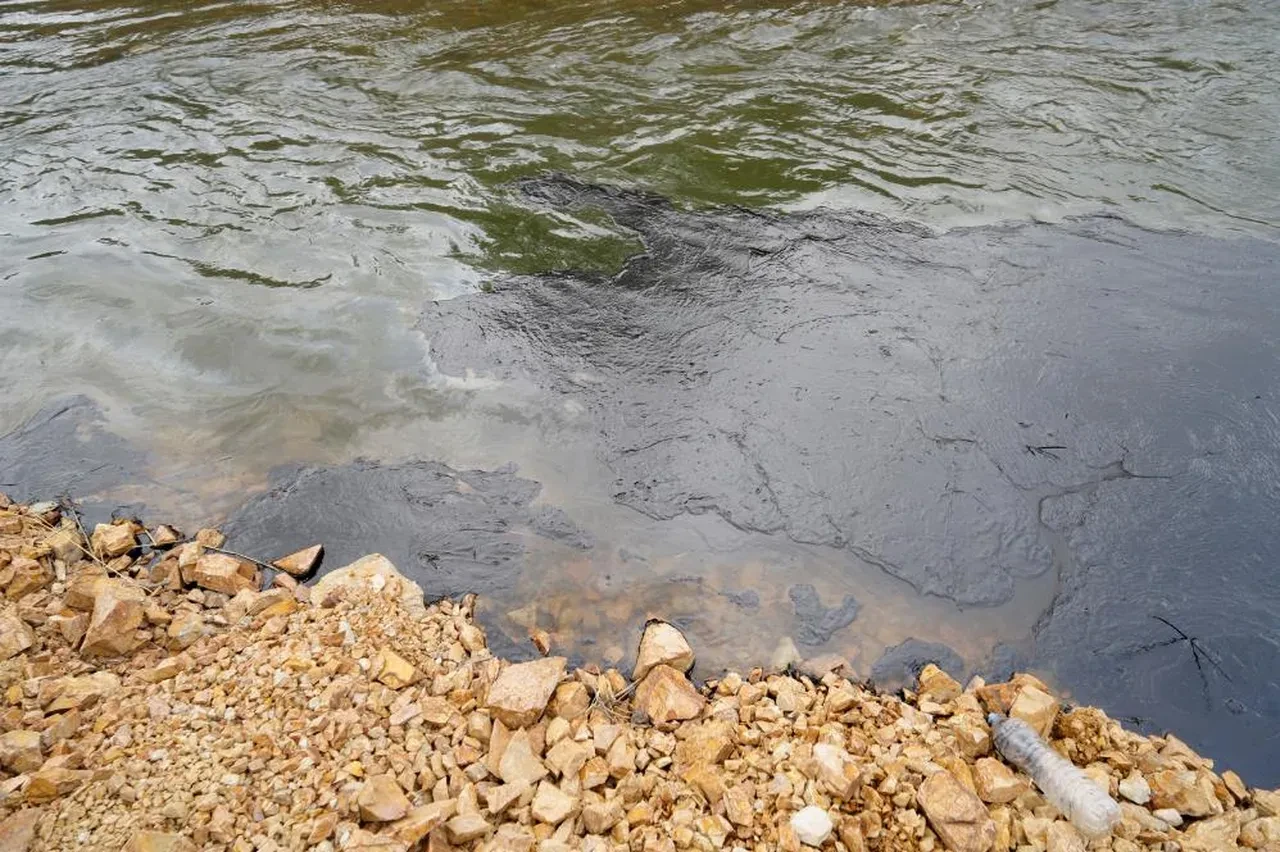 Meyve suyu fabrikası Harşit Çayı'nı kapkara yaptı! Nedeni ortaya çıktı
