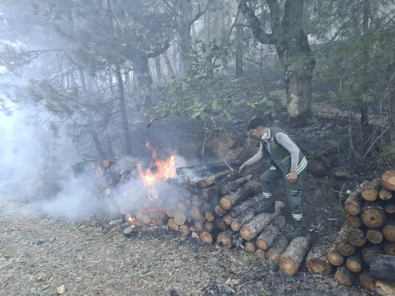 Motorlu testerenin egzozundan sıçrayan kıvılcım ormanı yaktı! 1 kişi tutuklandı