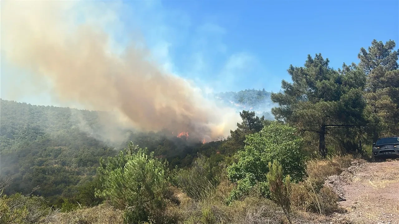 Motorlu testerenin egzozundan sıçrayan kıvılcım ormanı yaktı! 1 kişi tutuklandı