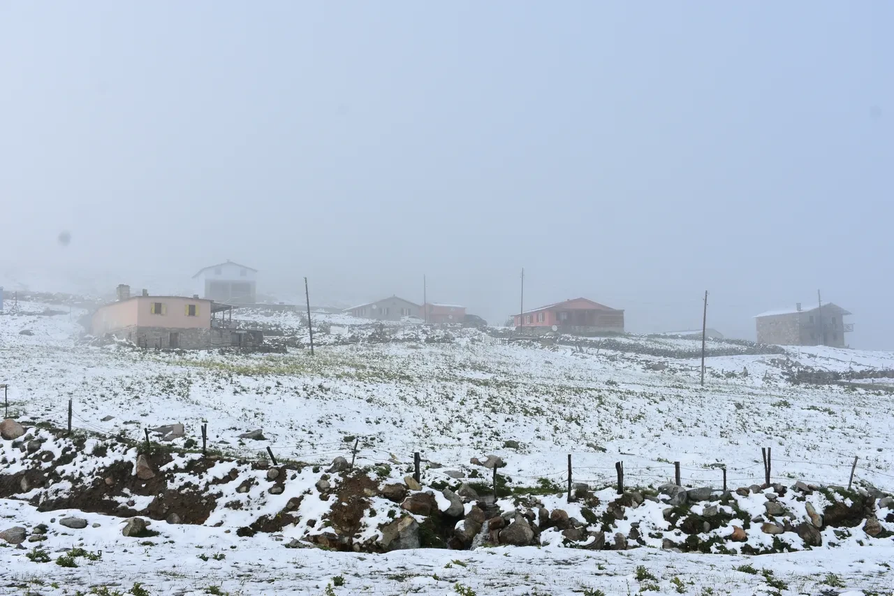 Temmuz ayında lapa lapa kar yağdı! İki ilimiz beyaza büründü