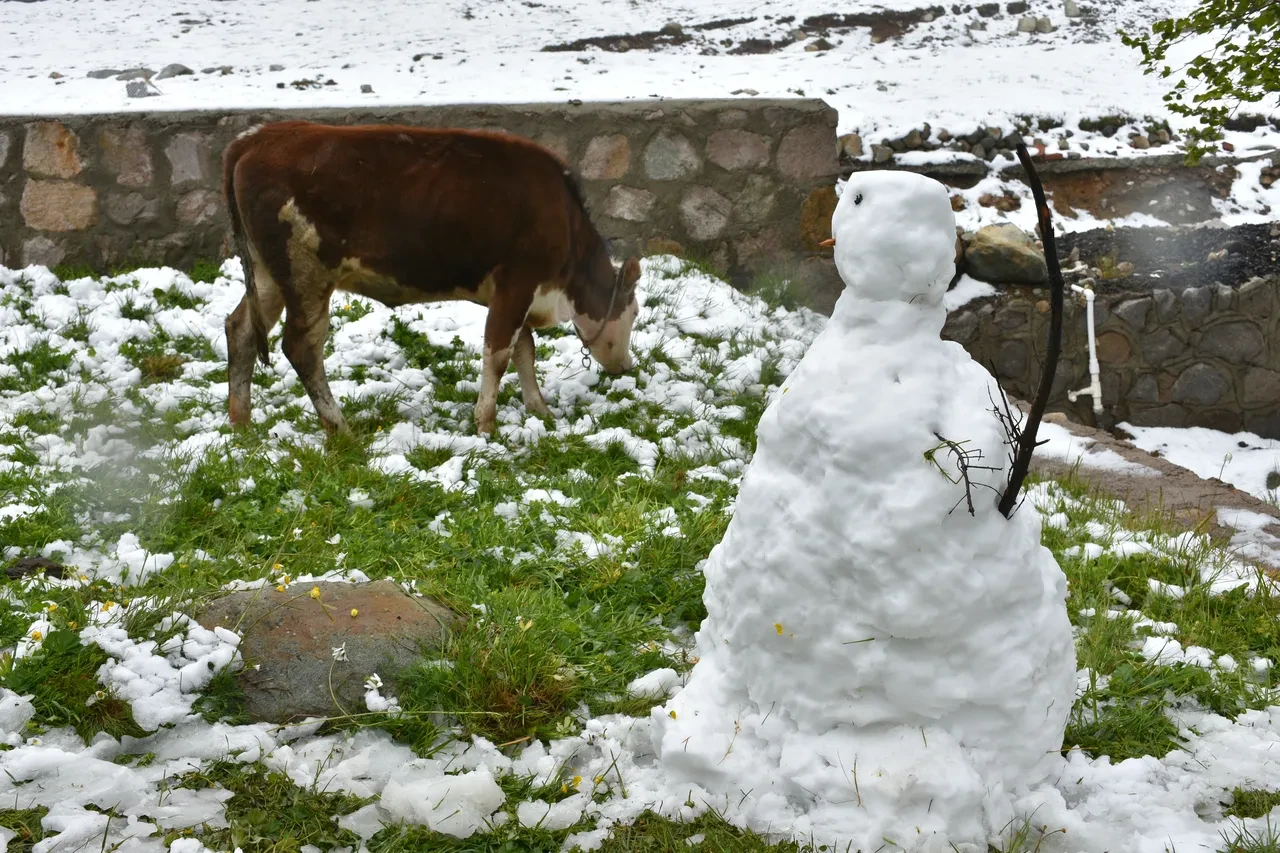 Temmuz ayında lapa lapa kar yağdı! İki ilimiz beyaza büründü