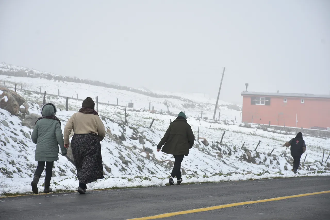 Temmuz ayında lapa lapa kar yağdı! İki ilimiz beyaza büründü