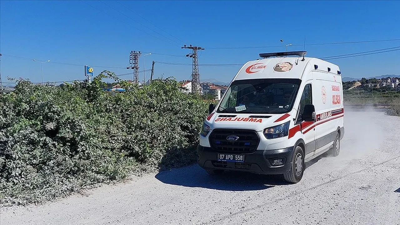 Antalya hayvanat bahçesinden kaçan aslan bulundu mu? 1 kişi yaralandı