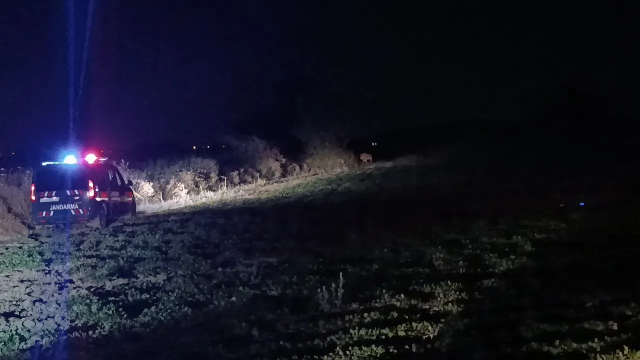 Antalya hayvanat bahçesinden kaçan aslan bulundu mu? 1 kişi yaralandı