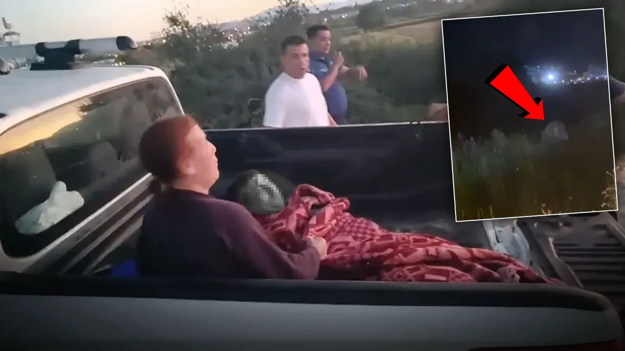 Antalya'da hayvanat bahçesinden kaçan aslan 1 kişiyi yaraladı! Manavgat'ta 'Zeus' dehşeti