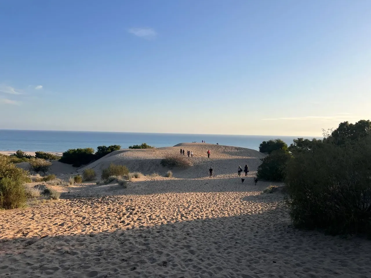 Bakanlık harekete geçti! Patara için eylem planı geliyor: İnsan faaliyetleri sınırlandırılacak