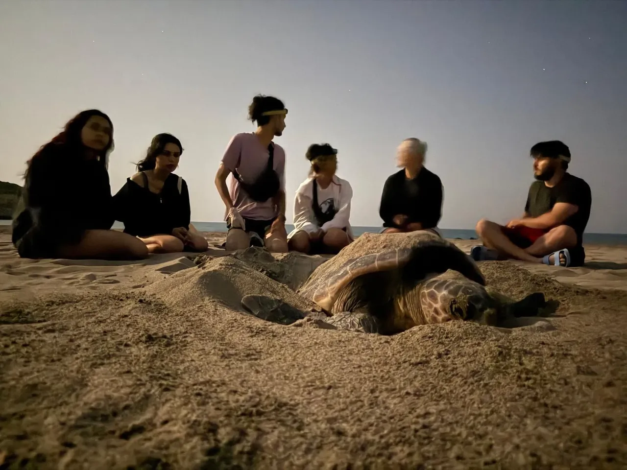 Bakanlık harekete geçti! Patara için eylem planı geliyor: İnsan faaliyetleri sınırlandırılacak