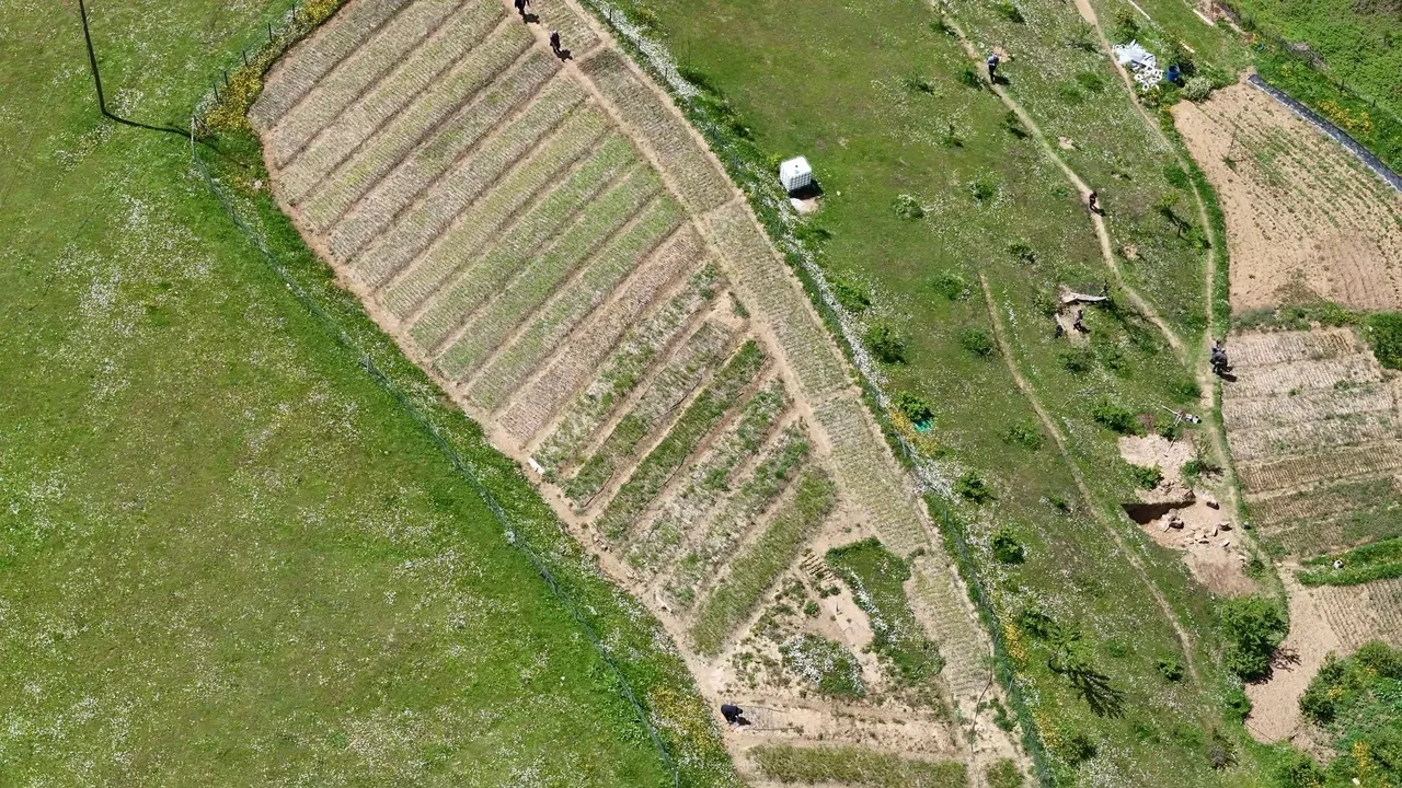 Belediyelerin uygun fiyatlı arsa satışları devam ediyor: Denize yakın, kelepir!